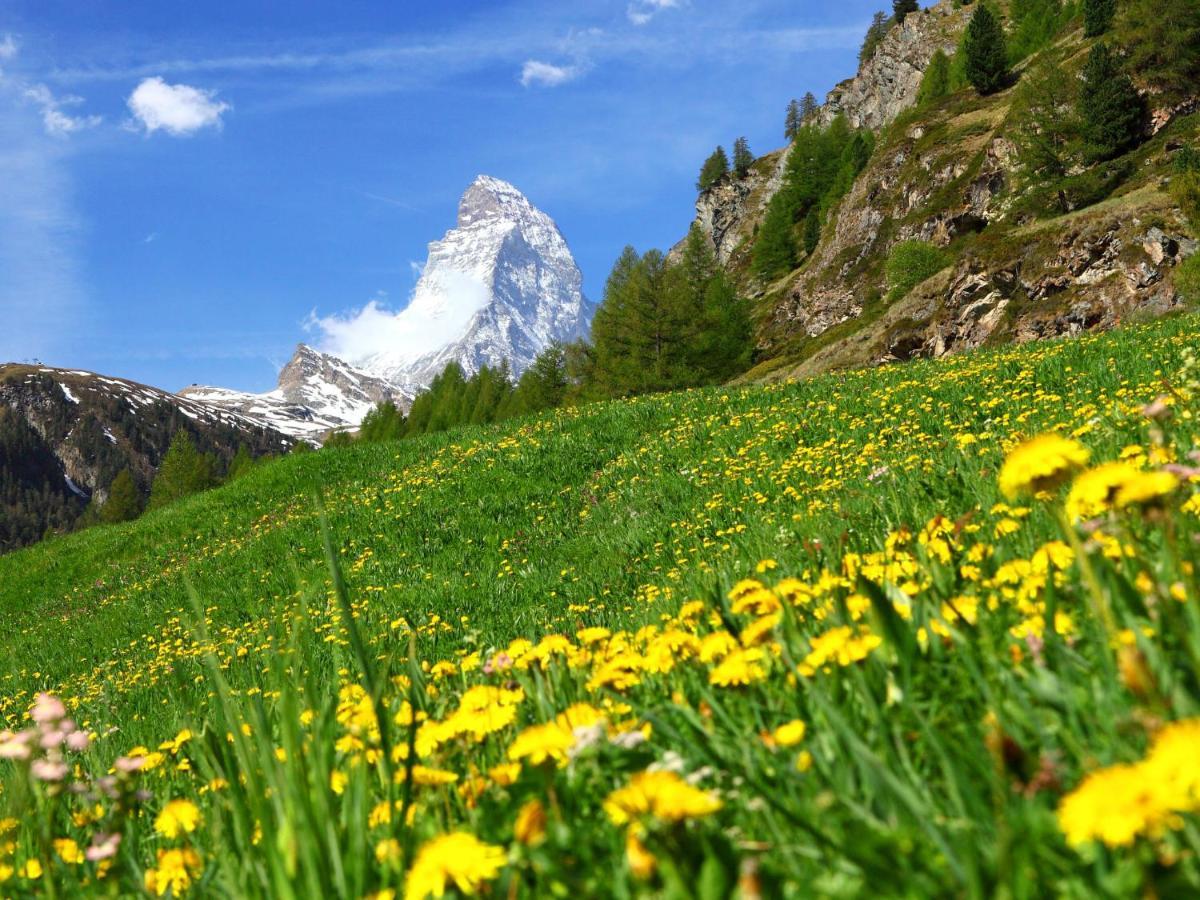 Apartment Richemont By Interhome Zermatt Exterior foto